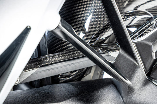 Ilmberger Brake line cover R 1300 GS + Adventure - carbon - glossy