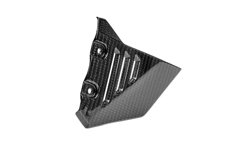 Ilmberger Front Triangle Cover for Rear Frame R 1300 GS Adventure - right - carbon - glossy