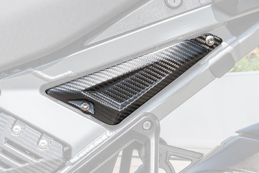 Ilmberger Rear Triangle Cover for Rear Frame R 1300 GS Adventure - left - carbon - matt