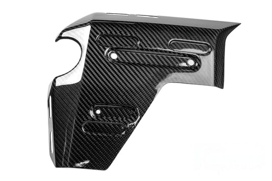 Ilmberger Water Radiator Cover R 1300 GS Adventure - left - carbon - glossy