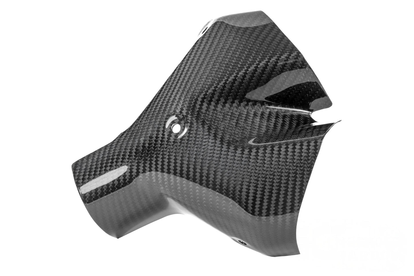 Ilmberger exhaust heat shield BMW R 1300 R / RS - front - carbon - glossy