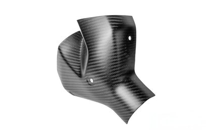 Ilmberger exhaust heat shield BMW R 1300 R / RS - front - carbon - matt