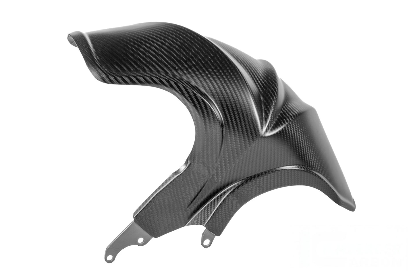 Ilmberger mudguard for BMW R 1300 R / RS - rear - carbon - glossy