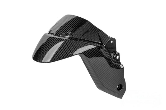 Ilmberger Mudguard BMW R 1300 R / RS - front - carbon - glossy