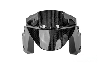 Ilmberger Mudguard BMW R 1300 R / RS - front - carbon - glossy