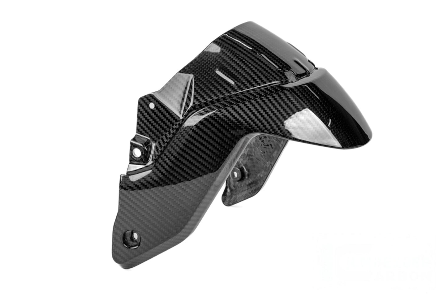 Ilmberger Mudguard BMW R 1300 R / RS - front - carbon - glossy