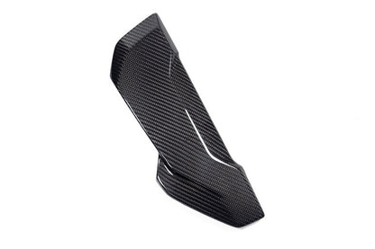 Ilmberger Side cover on the radiator protection - right - carbon - glossy