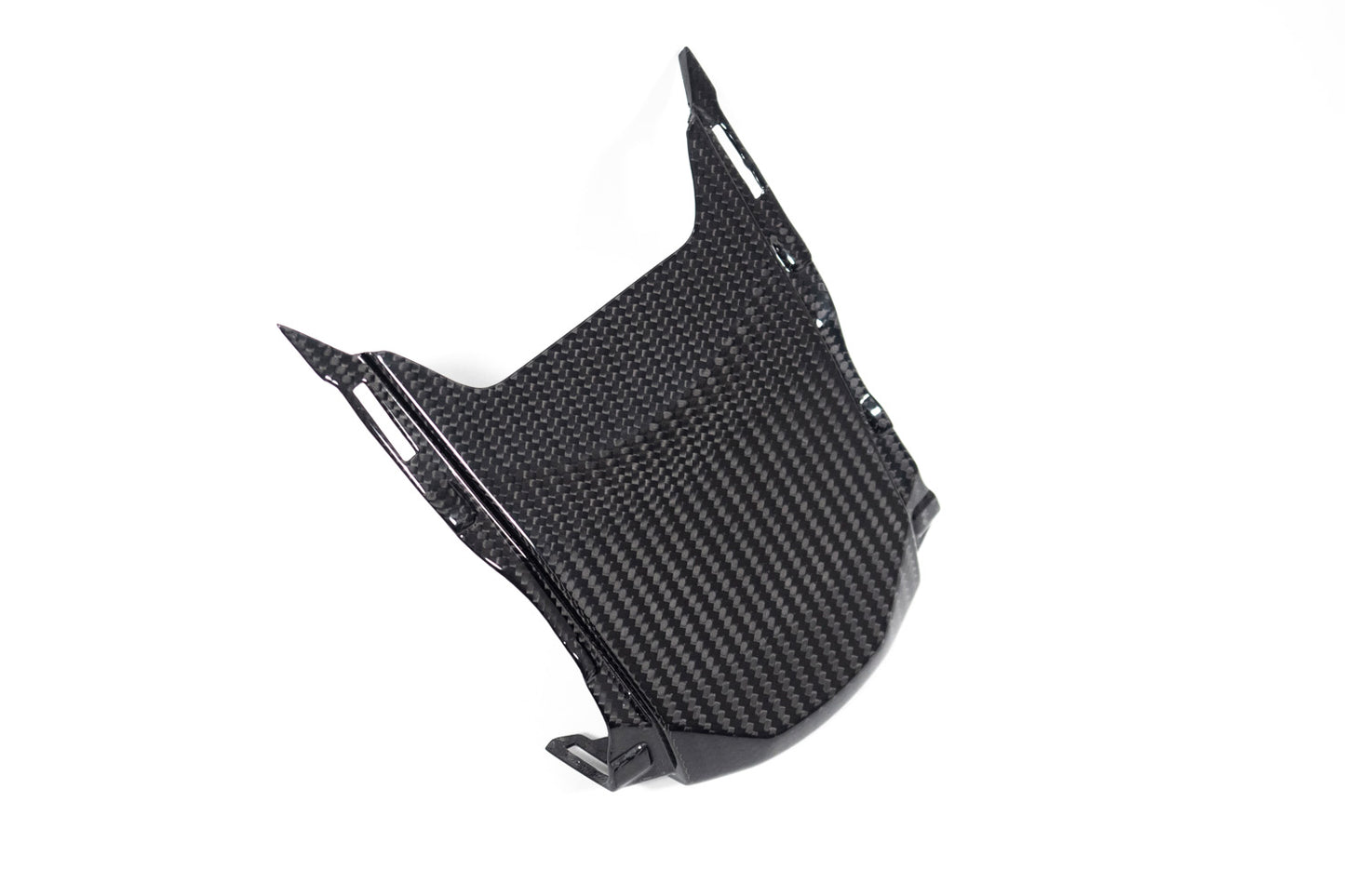 Ilmberger Tail fairing above - carbon