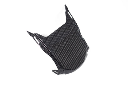 Ilmberger Tail fairing above - carbon