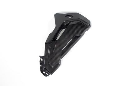 Ilmberger Radiator cover (complete version) - right - carbon