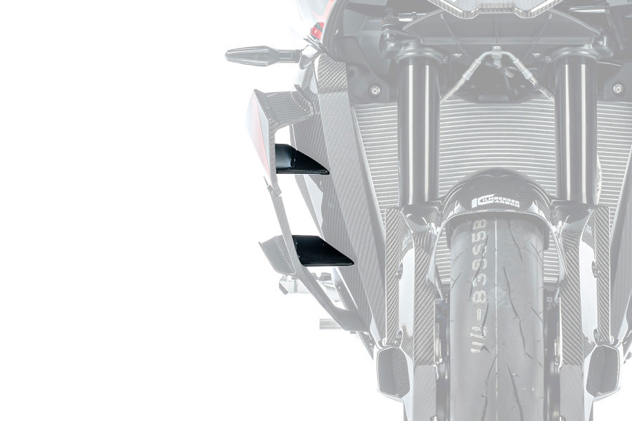 Ilmberger Inner Winglet M 1000 XR - right - carbon - glossy