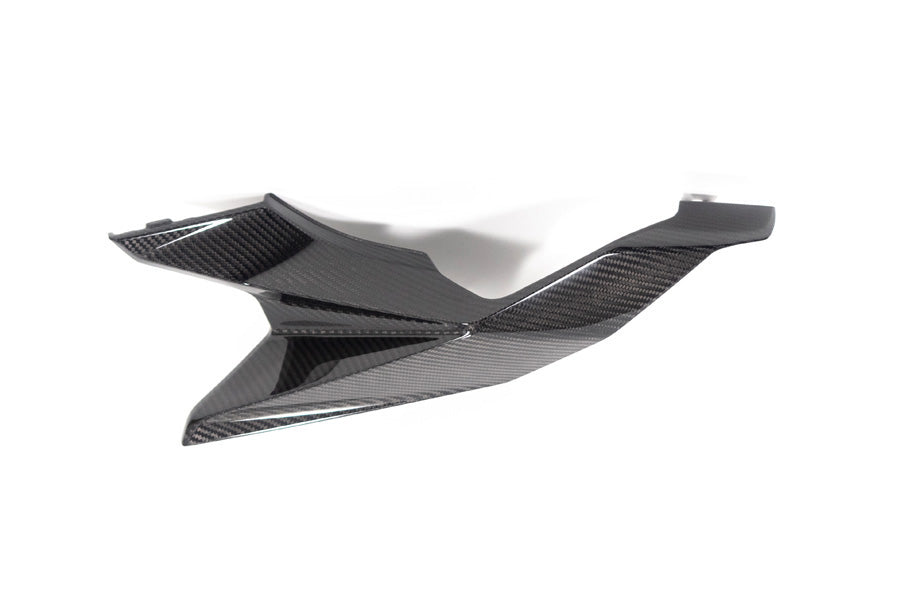 Ilmberger Rear Fairing M 1000 XR - left - carbon - glossy