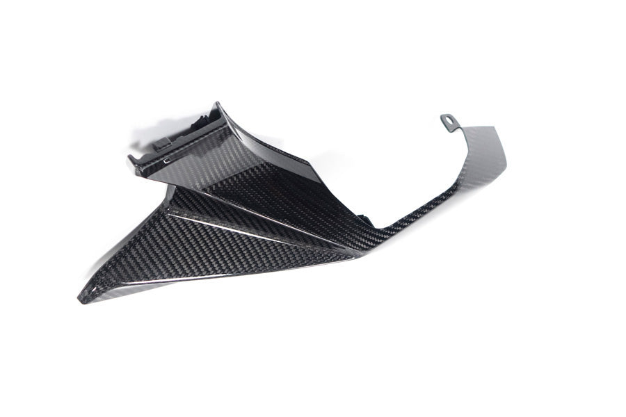 Ilmberger Rear Fairing M 1000 XR - left - carbon - glossy