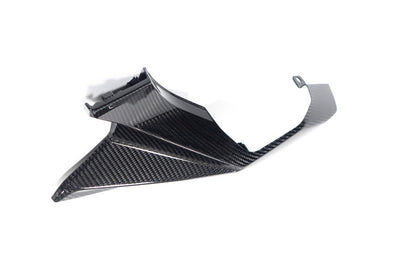 Ilmberger Rear Fairing M 1000 XR - left - carbon - glossy