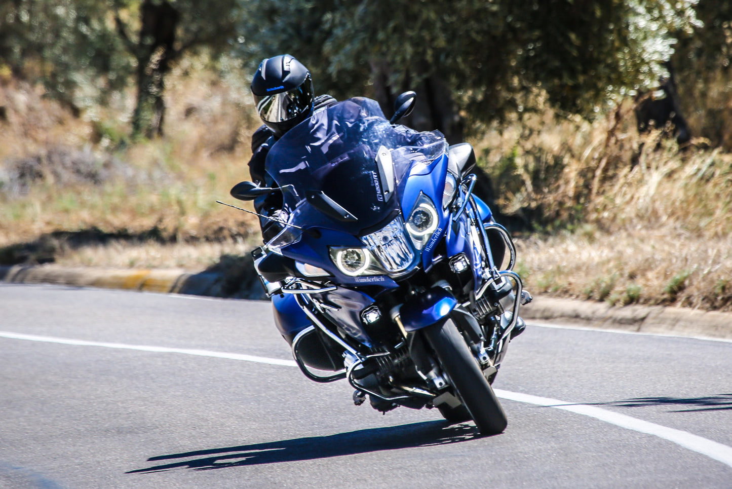 Engine protection bar - silver