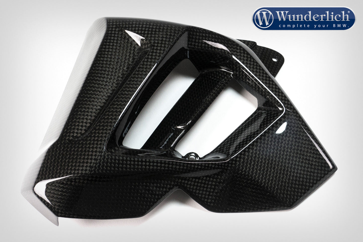 Water cooler protection F 800 R 2015 - left - carbon