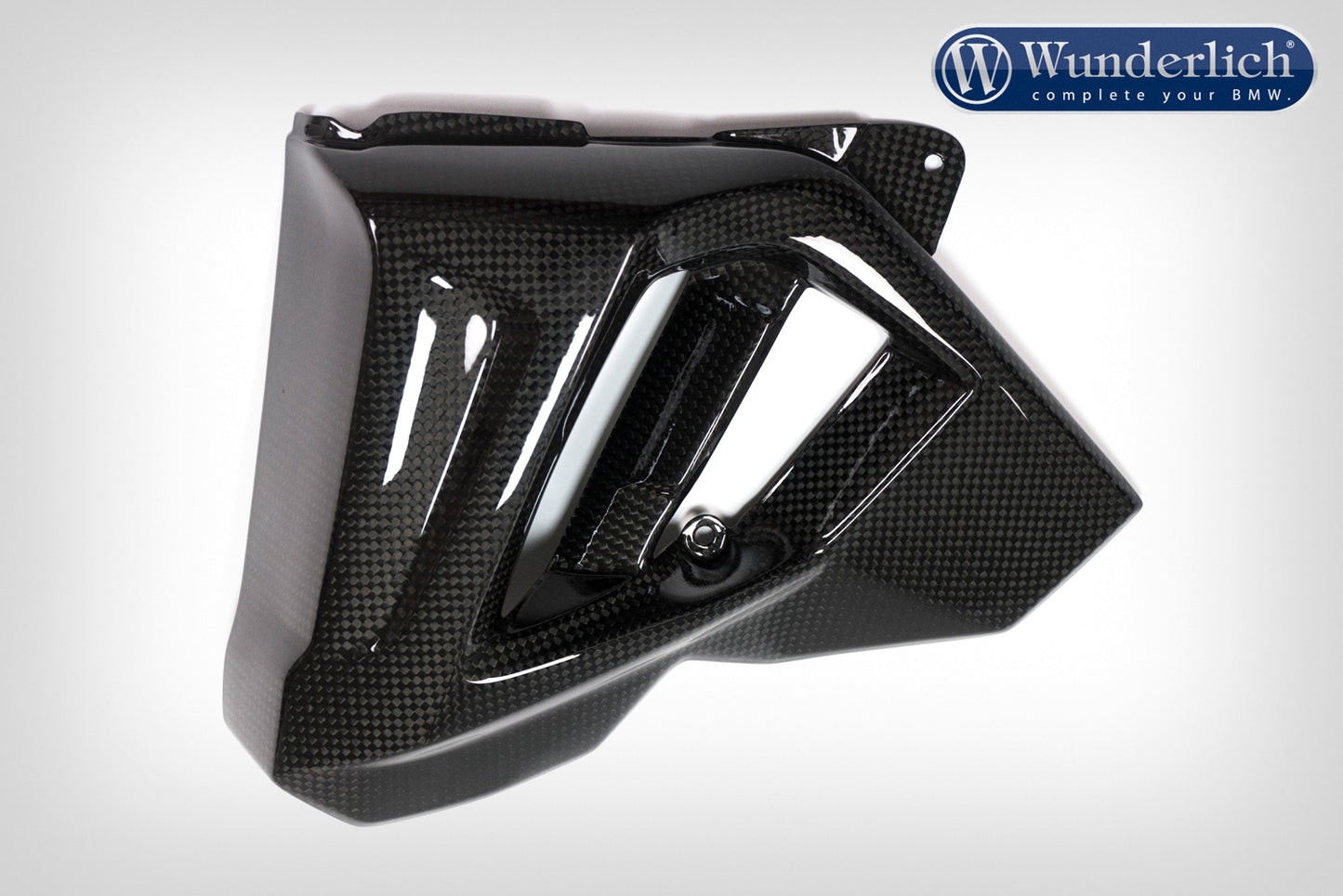 Water cooler protection F 800 R 2015 - left - carbon