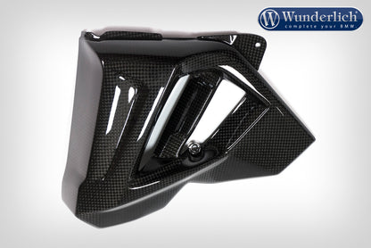 Water cooler protection F 800 R 2015 - left - carbon