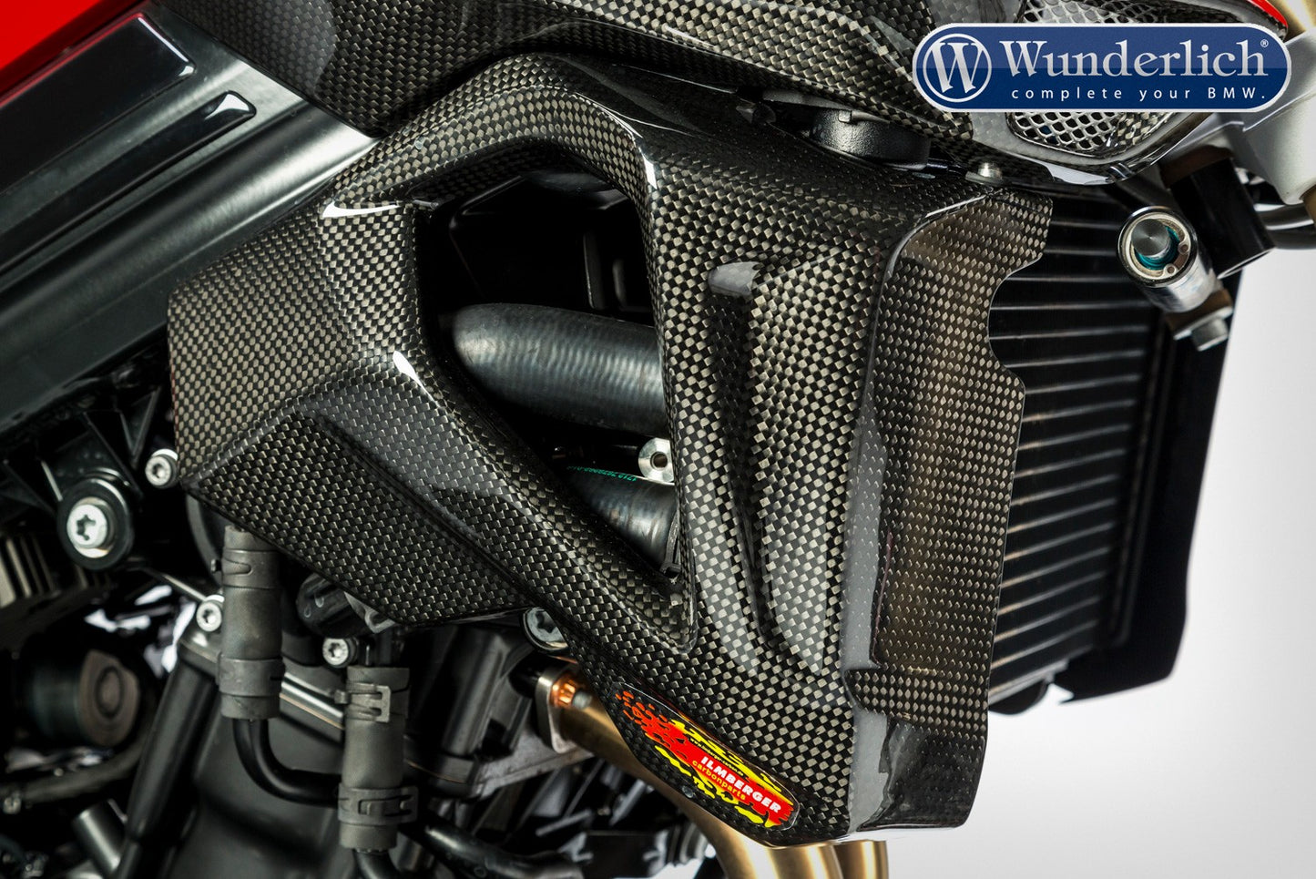 Water cooler protection F 800 R 2015 - right - carbon