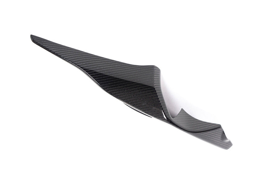 Ilmberger Tail fairing S 1000 RR (2019 -) - right - carbon