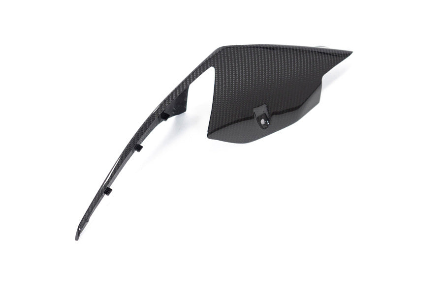 Ilmberger Tail fairing S 1000 RR (2019 -) - right - carbon