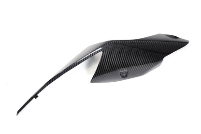 Ilmberger Tail fairing S 1000 RR (2019 -) - right - carbon