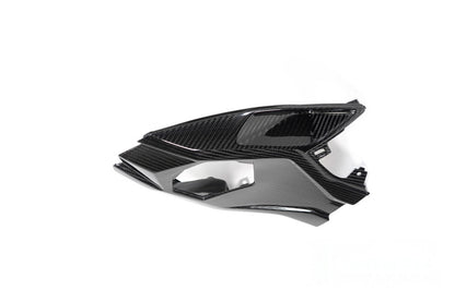 Ilmberger Frame protector S 1000 RR (2019 -) - carbon