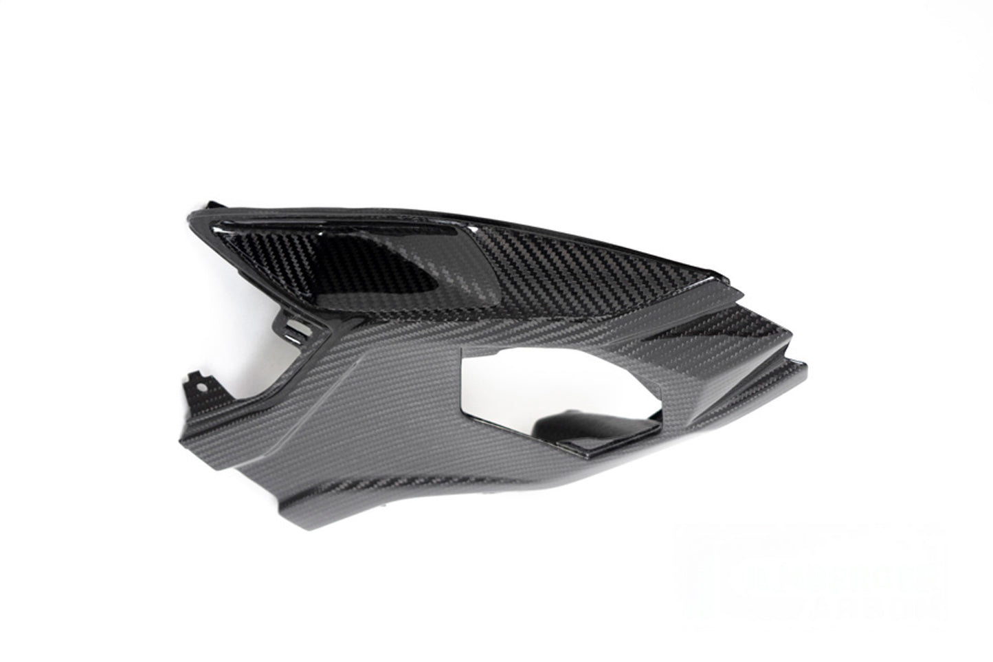 Ilmberger Frame protector S 1000 RR (2019 -) - carbon