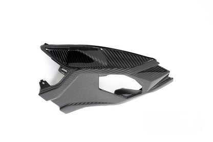 Ilmberger Frame protector S 1000 RR (2019 -) - carbon