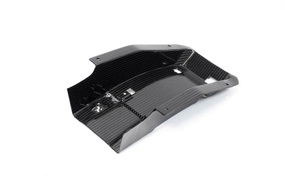 Ilmberger Tail fairing racing M 1000 RR - carbon - glossy