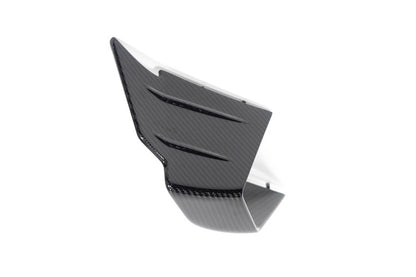 Ilmberger Faring Side Winglet M 1000 RR - left - carbon - glossy
