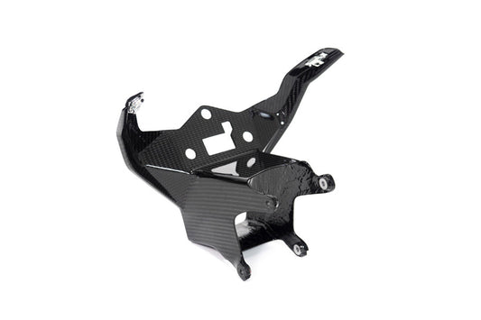 Ilmberger Instrument panel M 1000 RR - carbon - glossy