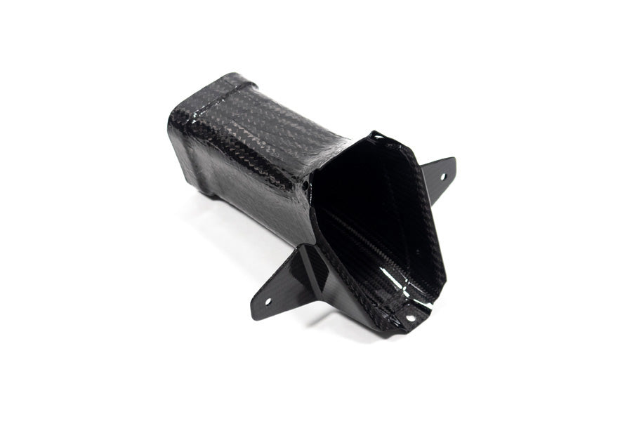 Ilmberger air duct M 1000 RR - carbon - glossy