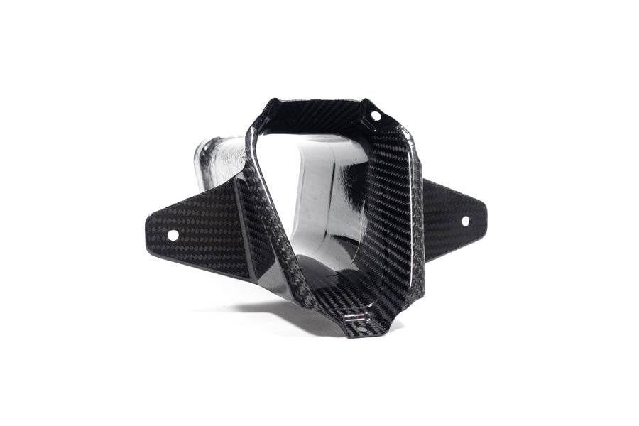 Ilmberger air duct M 1000 RR - carbon - glossy
