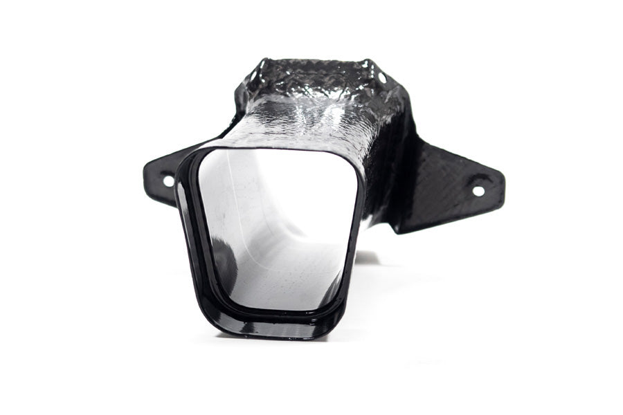 Ilmberger air duct M 1000 RR - carbon - glossy