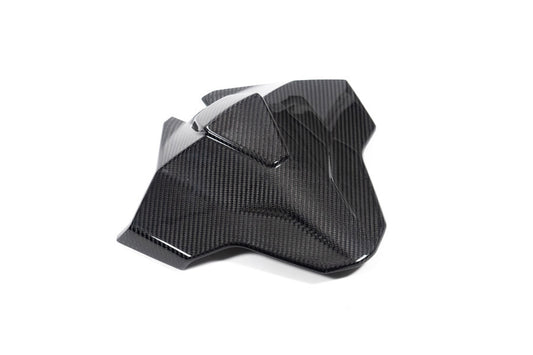 Ilmberger Tail fairing Monoposto M 1000 RR - carbon - glossy