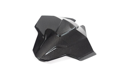 Ilmberger Tail fairing Monoposto M 1000 RR - carbon - glossy