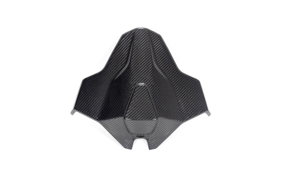 Ilmberger Tail fairing Monoposto M 1000 RR - carbon - glossy