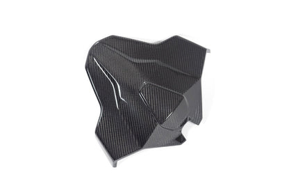Ilmberger Tail fairing Monoposto M 1000 RR - carbon - glossy