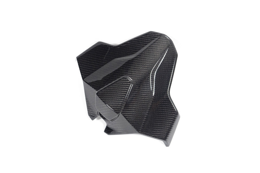 Ilmberger Tail fairing Monoposto M 1000 RR - carbon - glossy