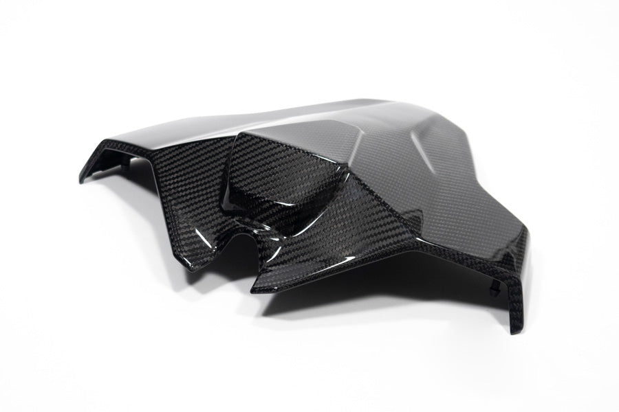 Ilmberger Tail fairing Monoposto M 1000 RR - carbon - glossy