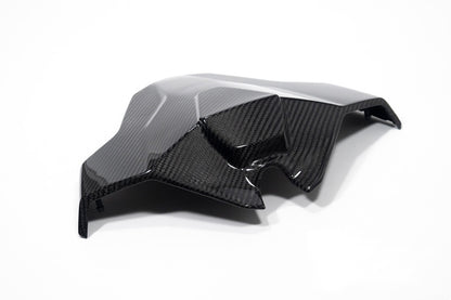 Ilmberger Tail fairing Monoposto M 1000 RR - carbon - glossy