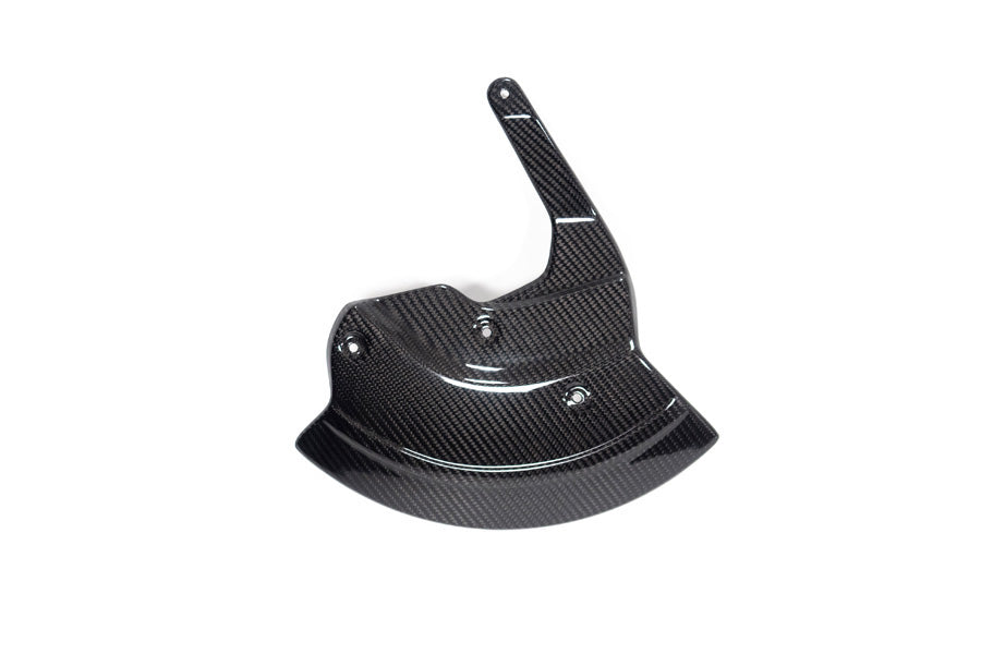 Ilmberger Wheel Cover M 1000 RR - right - carbon - glossy