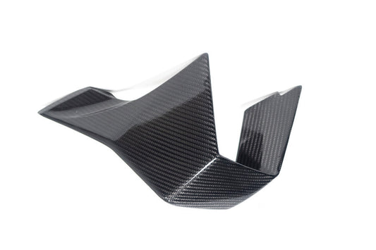 Ilmberger Faring Side Winglet M 1000 RR - left - carbon - glossy