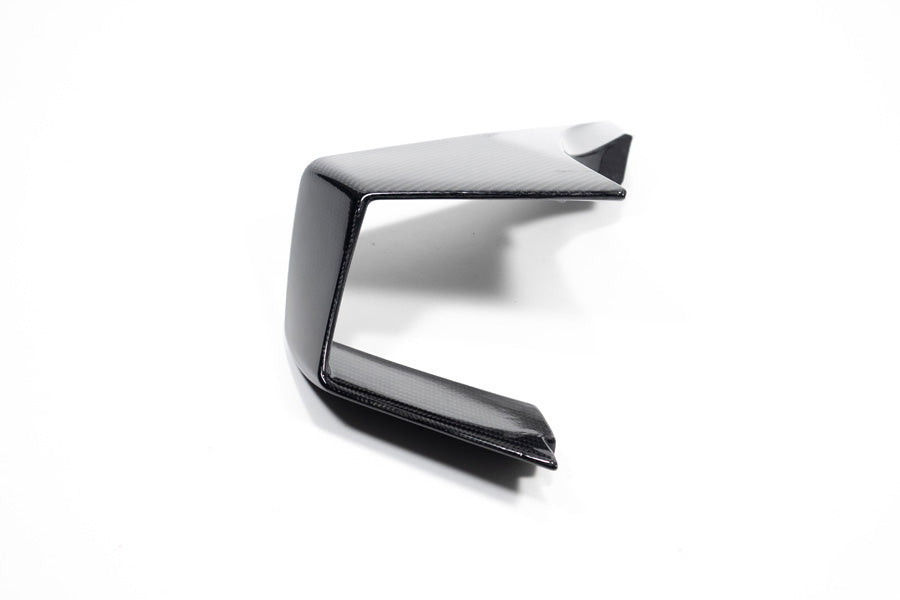 Ilmberger Faring Side Winglet M 1000 RR - left - carbon - glossy