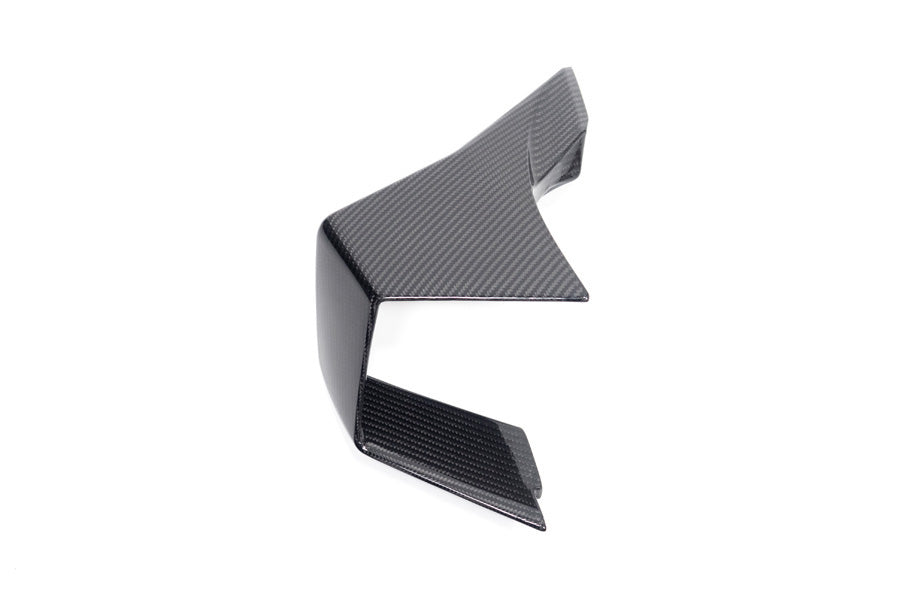 Ilmberger Faring Side Winglet M 1000 RR - left - carbon - glossy