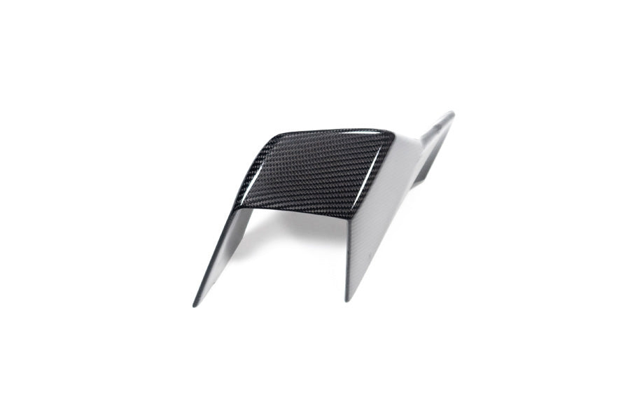 Ilmberger Faring Side Winglet M 1000 RR - left - carbon - glossy