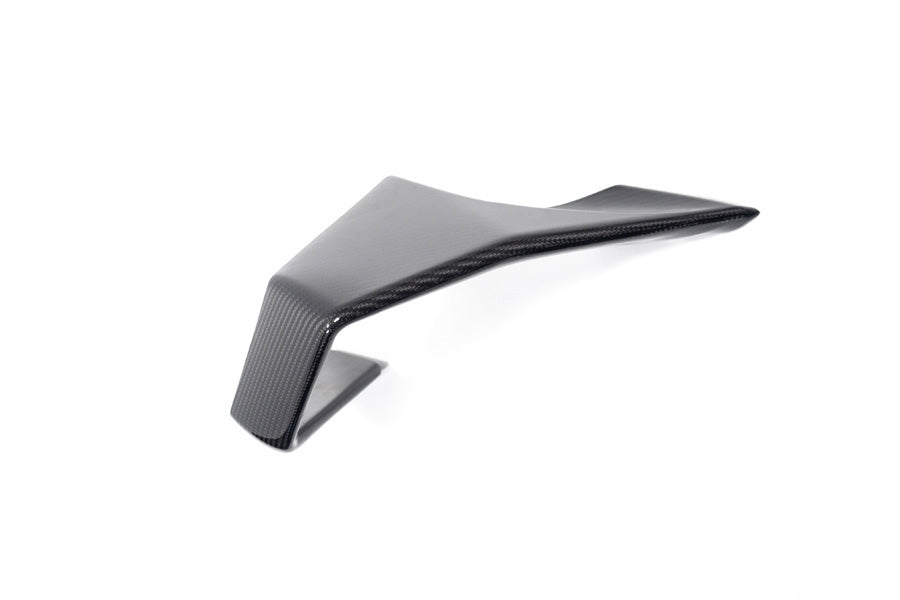 Ilmberger Faring Side Winglet M 1000 RR - right - carbon - glossy