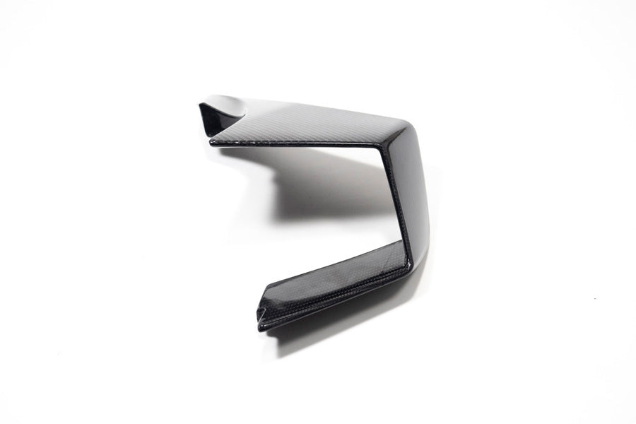 Ilmberger Faring Side Winglet M 1000 RR - right - carbon - glossy