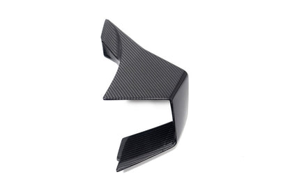 Ilmberger Faring Side Winglet M 1000 RR - right - carbon - glossy